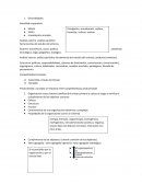 La matriz del perfil competitivo