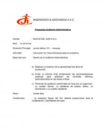 AUDITORIA ADMINISTRATIVA SACOS DEL SUR. Página 2