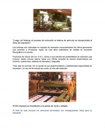 AUDITORIA ADMINISTRATIVA SACOS DEL SUR. Página 7