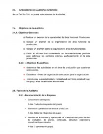 AUDITORIA ADMINISTRATIVA SACOS DEL SUR. Página 5