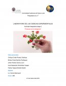 LABORATORIO DE LAS CIENCIAS EXPERIMENTALES Actividad Integradora etapa 2 "Protocolo de Investigación"