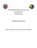 Aplicación de voces latinas en la lengua castellana