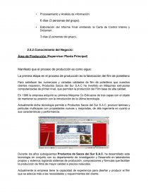 AUDITORIA ADMINISTRATIVA SACOS DEL SUR. Página 6