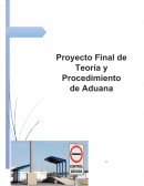 Teoría Y Procedimiento de Aduana