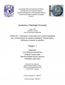 Necropsia y conservación de muestras histológicas