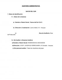 AUDITORIA ADMINISTRATIVA SACOS DEL SUR. Página 1