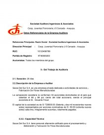 AUDITORIA ADMINISTRATIVA SACOS DEL SUR. Página 3