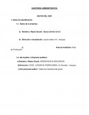 AUDITORIA ADMINISTRATIVA SACOS DEL SUR