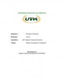 Mapas conceptuales e Investigación