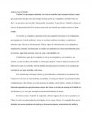 Análisis Caso Timbuk2