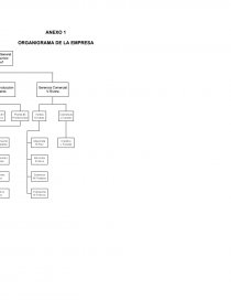 AUDITORIA ADMINISTRATIVA SACOS DEL SUR. Página 25