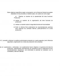 AUDITORIA ADMINISTRATIVA SACOS DEL SUR. Página 22