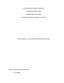 ENSAYO SOBRE LA LEY DE DERECHO INTERNACIONAL PRIVADO