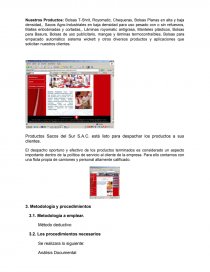 AUDITORIA ADMINISTRATIVA SACOS DEL SUR. Página 9