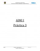 AIMI I Práctica 3