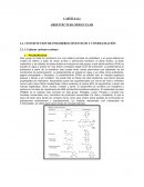 CAPÍTULO 2 ARQUITECTURA MOLECULAR