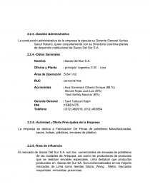 AUDITORIA ADMINISTRATIVA SACOS DEL SUR. Página 4