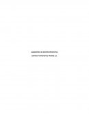 DIAGNOSTICO DE GESTION PREVENTIVA EMPRESA TRANSPORTES PRAMBS S.A.