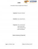 Educación Ambiental Catedra