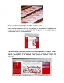 AUDITORIA ADMINISTRATIVA SACOS DEL SUR. Página 8