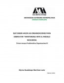 QUE DEBEN HACER LAS ORGANIZACIONES PARA SOBREVIVIR