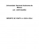 Reporte del proceso de femsa