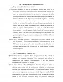 METABOLISMO DE CARBOHIDRATOS.