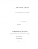 DERECHO OBJETIVO Y SUBJETIIVO