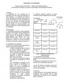 Informe solubilidad udea quimica general