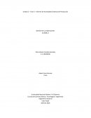 Informe De Actividades Sistemas De Producción