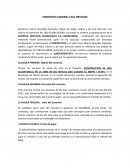 Modelo de Sub Contrato