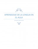 APRENDIZAJE DE LA LENGUA EN EL AULA