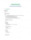 MISCELÁNEA DE PROGRAMAS