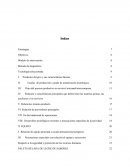 Proyecto de paleteria