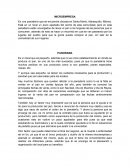 INTEGRADORA FINAL ADMINISTRACION