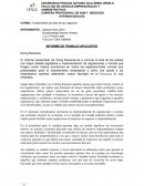INFORME DE TRABAJO APLICATIVO