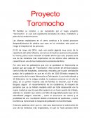 Soluciones para el proyecto toromocho