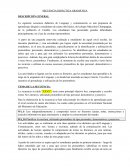 Secuencia Didáctica Gramática