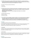 Tercer avance del proyecto mercadotecnia