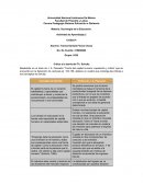 Corrientes filosoficas Actividad