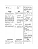 Derecho civil, tutela