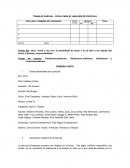 TRABAJO PARCIAL - FICHA PARA EL ANÁLISIS DE PELÍCULA