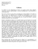 Análisis Crit. Arq. y Art. IV