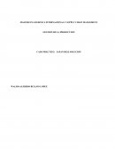 SOLUCION CASO JAPAN DELI MASTER EN LOGISTICA INTERNACIONAL Y SUPPLY CHAIN MANGEMENT