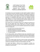 TEORÍA DE LA SÍNTESIS ABIÓTICA