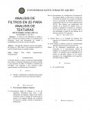 Analisis de filtros en 2D para analisis de texturas
