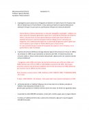 Microeconomía Ayudantía