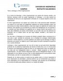 Tema: Liderazgo y Clima Organizacional