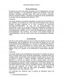 Plantas y su Clasificacion