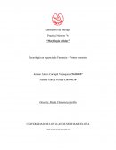 Laboratorio de Biología Practica Número °6